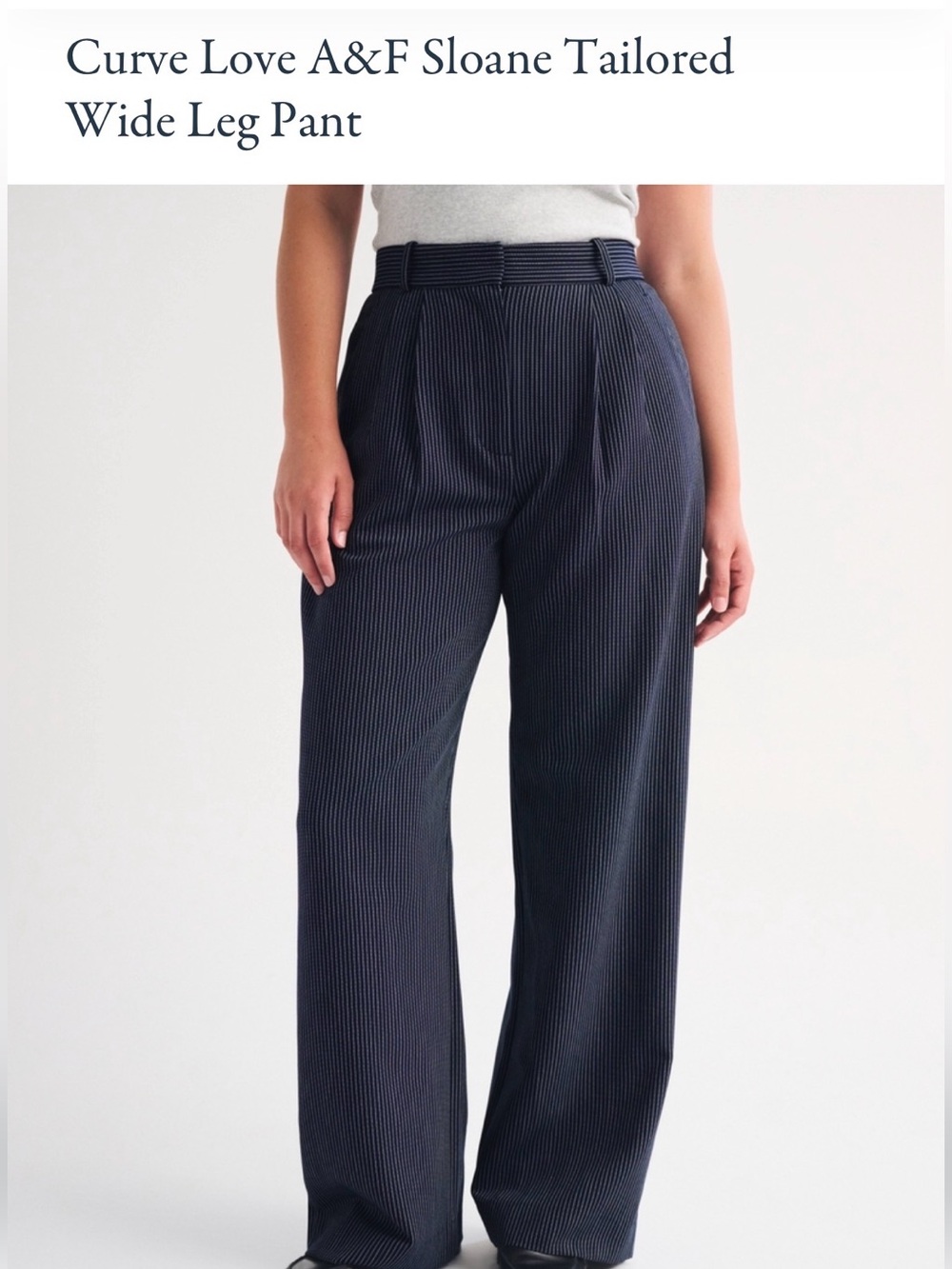 Abercrombie & Fitch Sloane Tailored Wide Leg Pant
